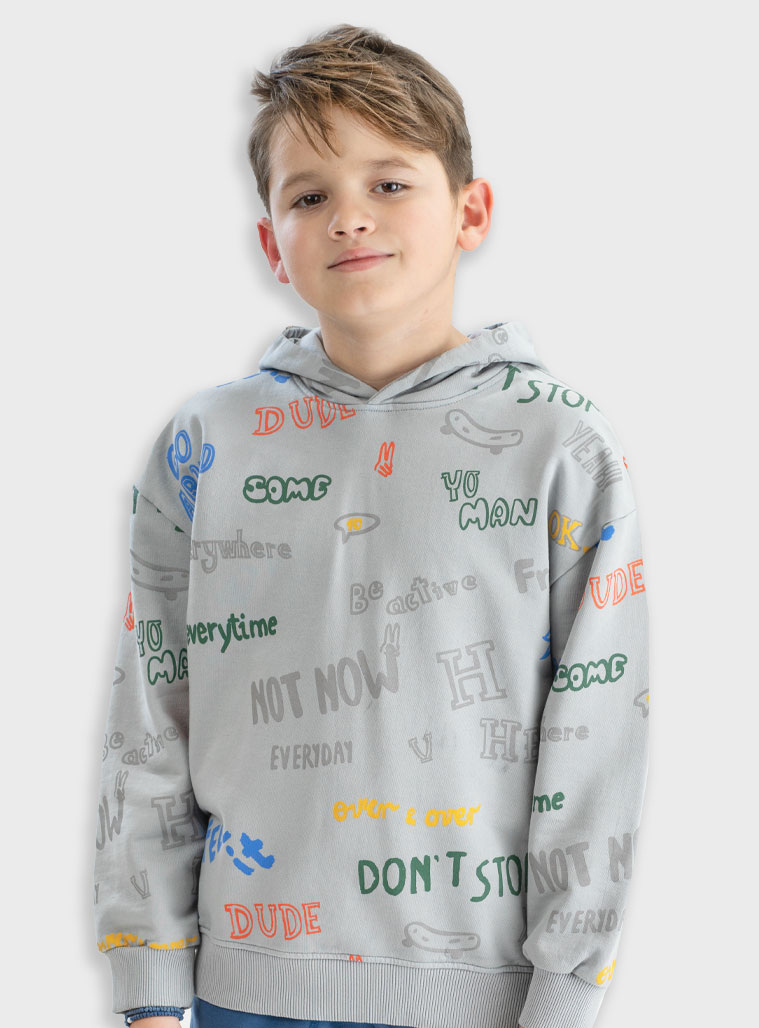 Energiers Μπλούζα με κουκούλα | SILVER GREY