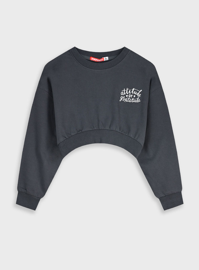 Παιδικά ρούχα - κορίτσι Energiers - ΣΗΜΑΝΤΙΚΟ: Σε περίπτωση διαφοράς τιμής από το κατάστημα ισχύει παντα και μόνο η τιμή του καταστήματος Μπλούζα φούτερ | ΑΝΘΡΑΚΙ